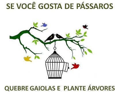 Educar a Ação - Pássaros e Árvores