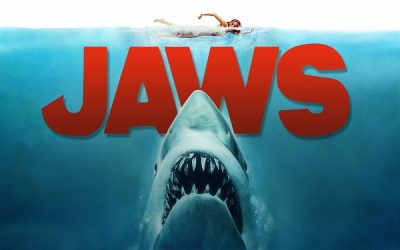 Shark Thank