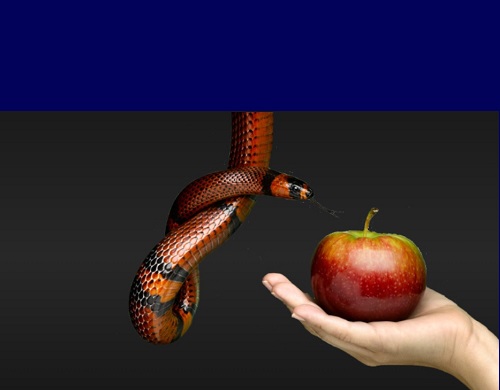 Pecados - Reprodução Internet