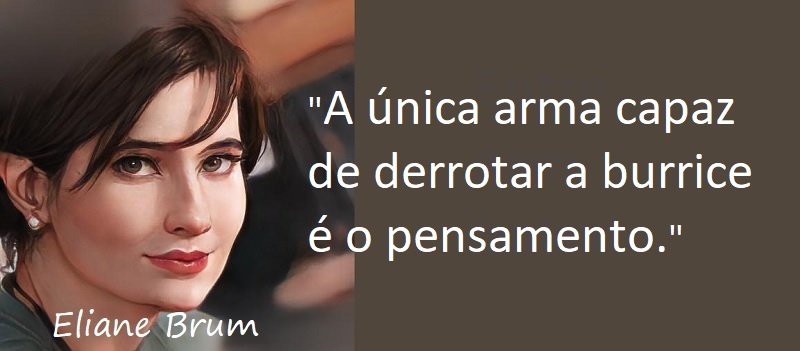 Entre sem bater - Eliane Brum - Burrice