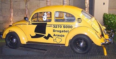 Pragas Urbanas - Belo Horizonte