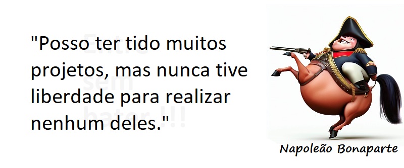 Entre sem bater - Napoleão Bonaparte - Projetos