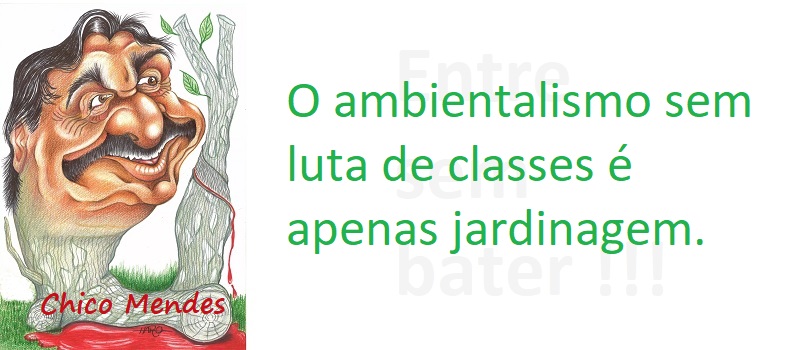 Entre Sem Bater - Chico Mendes - Ambientalismo