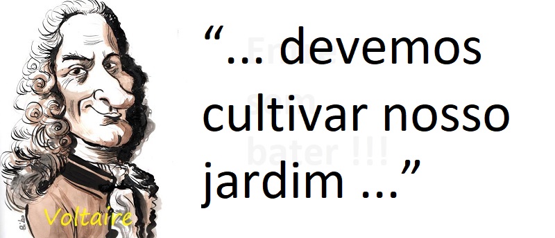 Entre Sem Bater - Voltaire - O Microcosmo Eleitoral