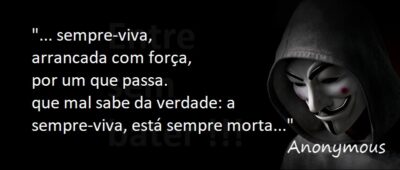 Entre Sem Bater - Anonymous - Sempre-Vivas e o Globo Rural