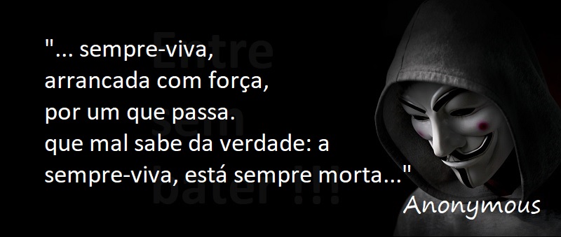 Entre Sem Bater - Anonymous - Sempre-Vivas e o Globo Rural